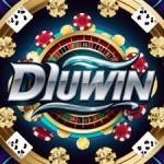 diuwin games Profile Picture