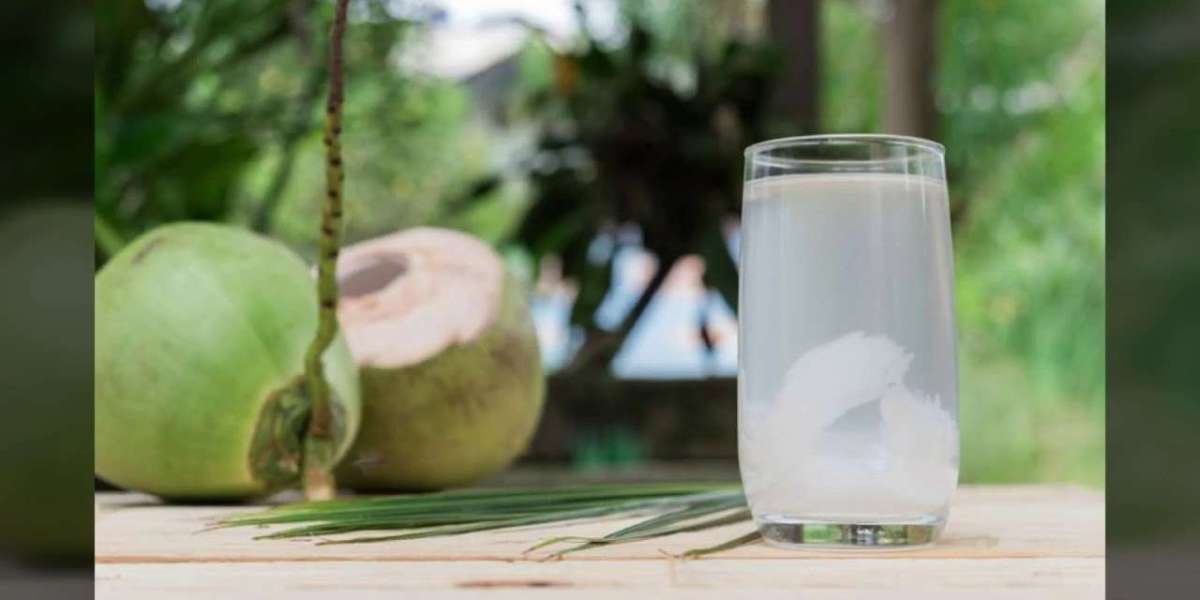 Coconut Water Market Growth Hindered by Regulatory Challenges and Consumer Awareness