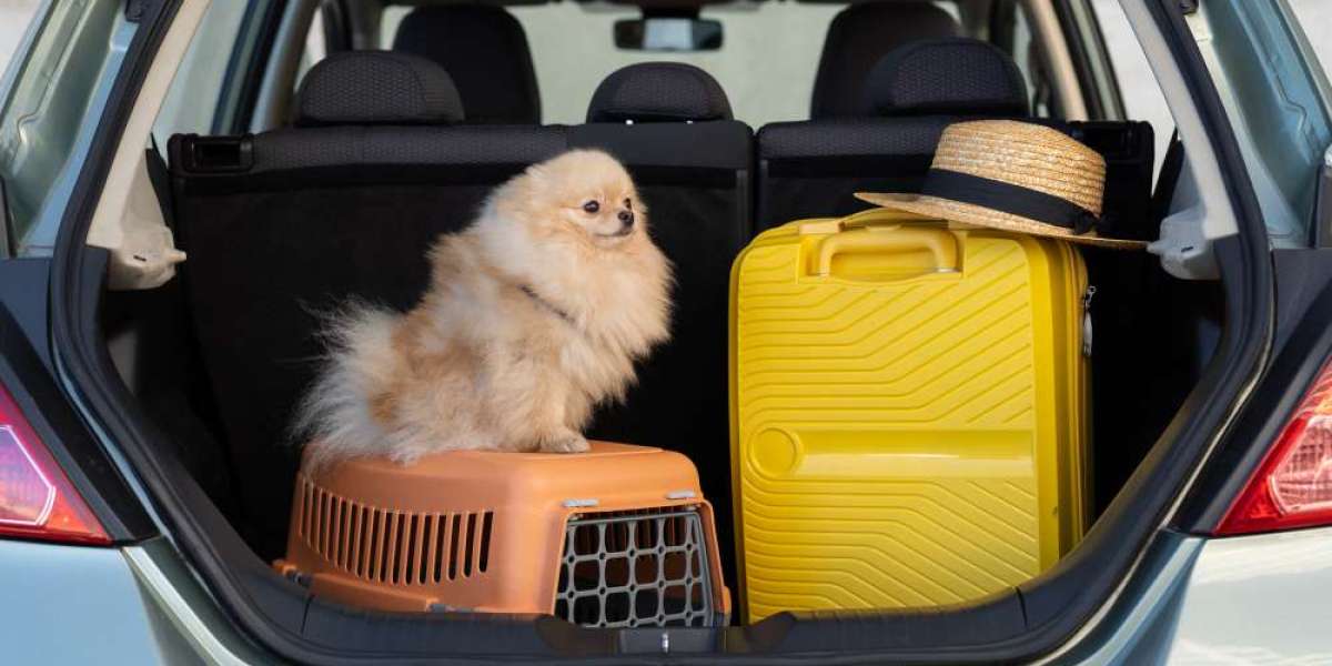 Best Subaru Pet Accessories for Your Furry Companion