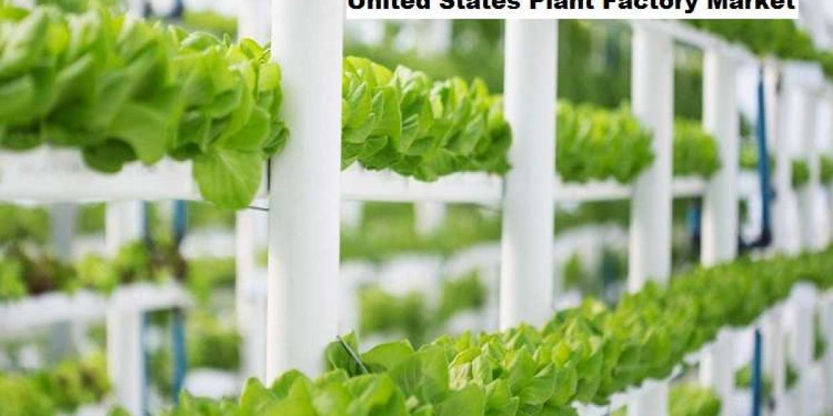 United States Plant Factory Market Benefits from Rising Tech Advancements