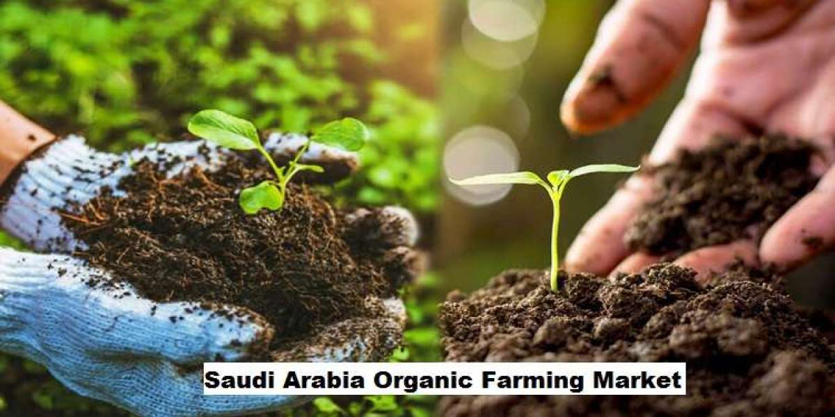 Saudi Arabia Organic Farming Market: Government Initiatives and Growth