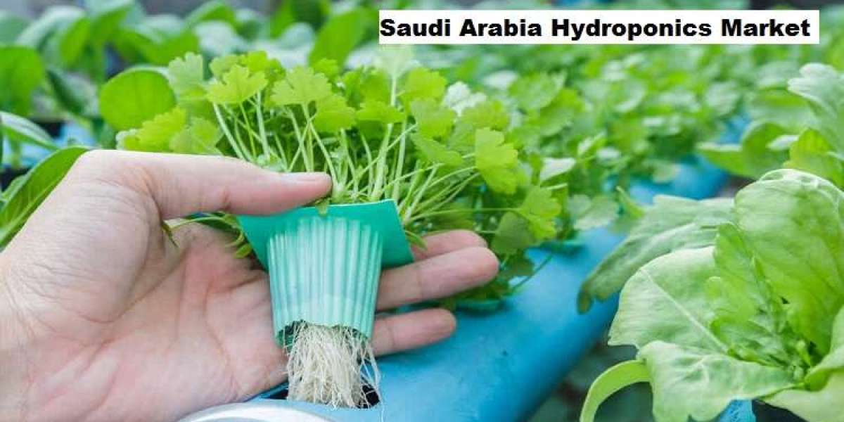 Saudi Arabia Hydroponics Market: Growth Catalysts and Market Trends