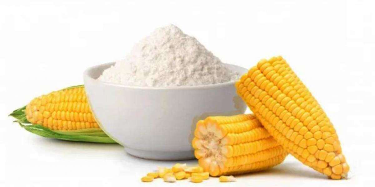 Corn Flour Market: Addressing the Demand for Low-Carb Options