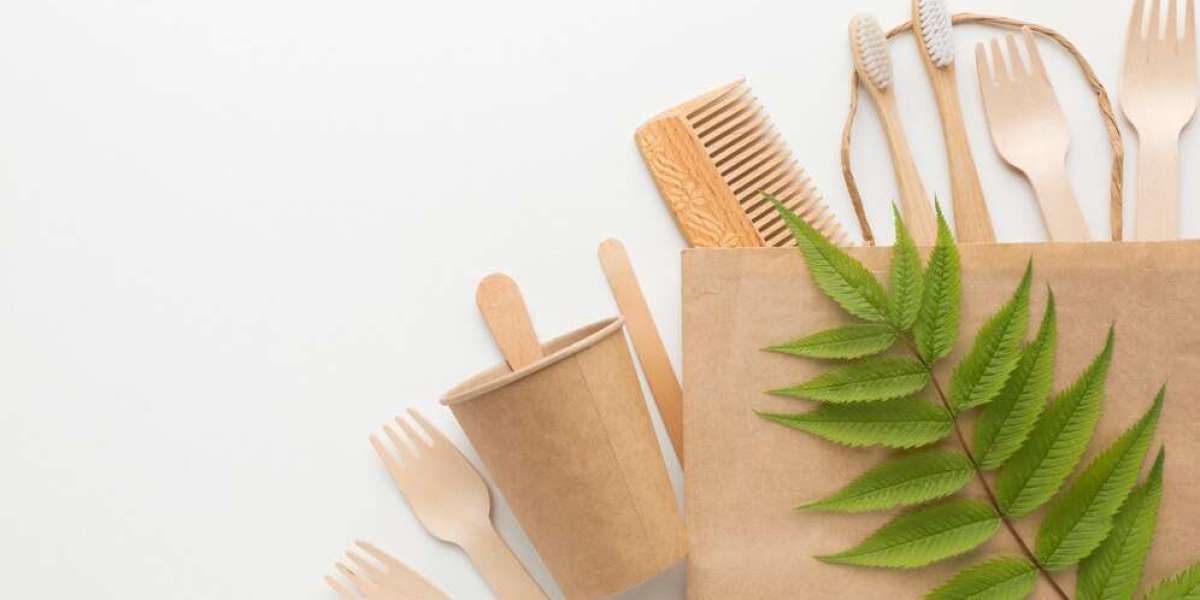 Biodegradable Packaging Market Innovations The Role of Nanotechnology in Sustainable Packaging