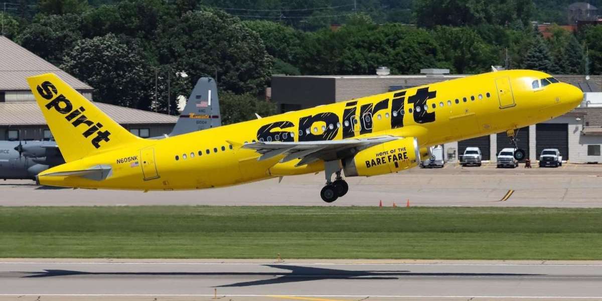 Spirit Airlines Chicago Office in Illinois: Your Ultimate Guide