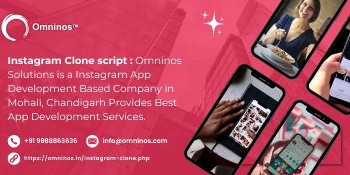 Top Features to Look for in an Instagram Clone Script