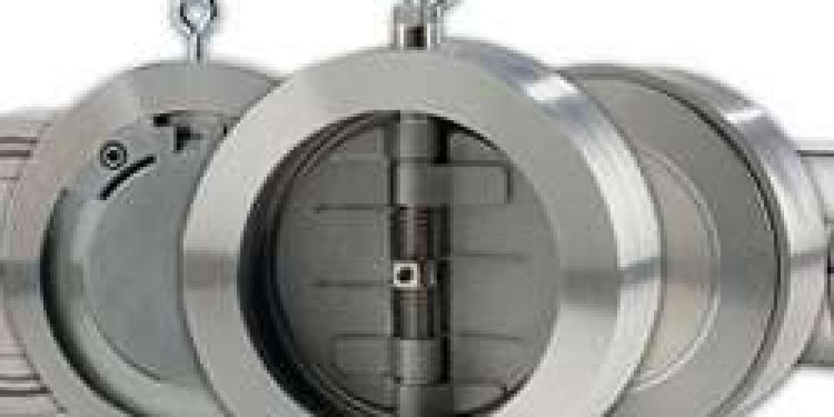 Hastelloy check valve