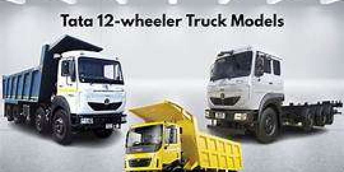 Tata 12 Wheeler Trucks: A Reliable Solution for Heavy-Duty Transportation