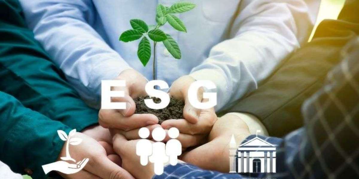 How ESG Consulting Enhances Due Diligence for Malaysian Companies