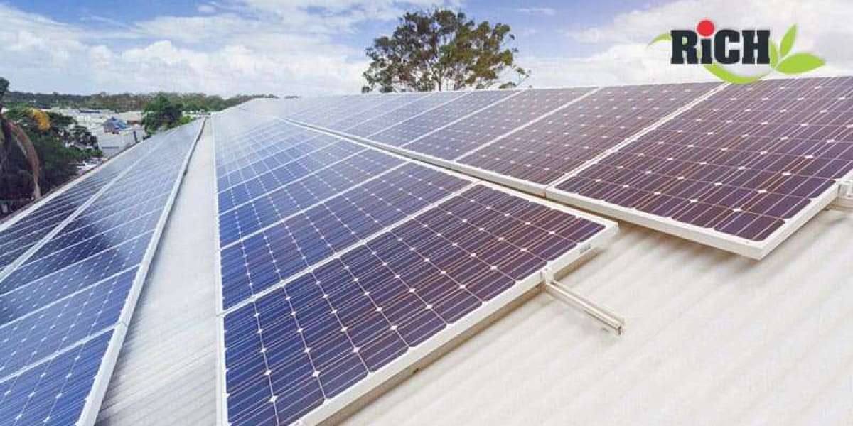 Why Choosing a Local Solar Company in Chennai Makes a Difference