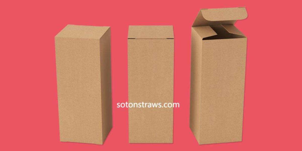 Why Kraft Take Out Box Manufacturers Are Leading the Eco-Friendly Packaging Trend