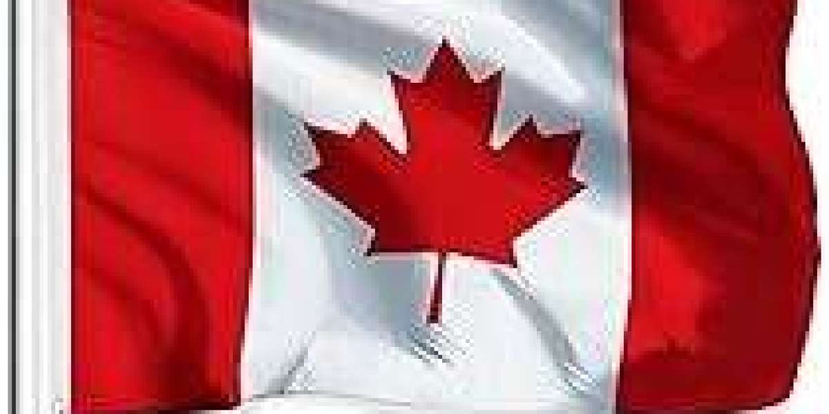 Best Canadian Immigration Consultants In Dubai