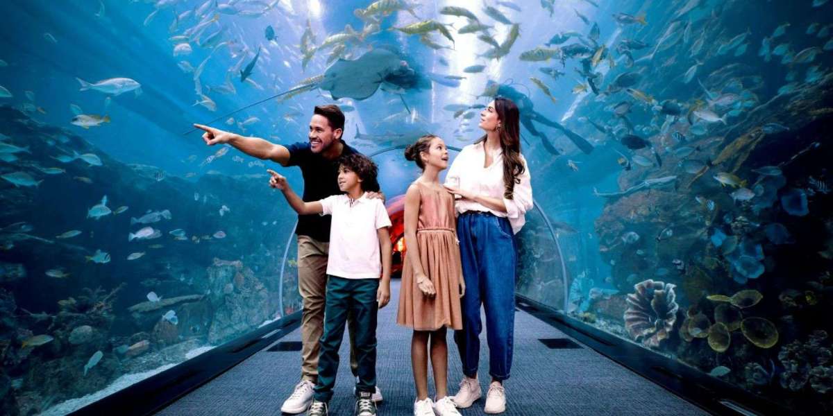 Dubai Aquarium & Underwater Zoo: Ticket Prices, Timings & More