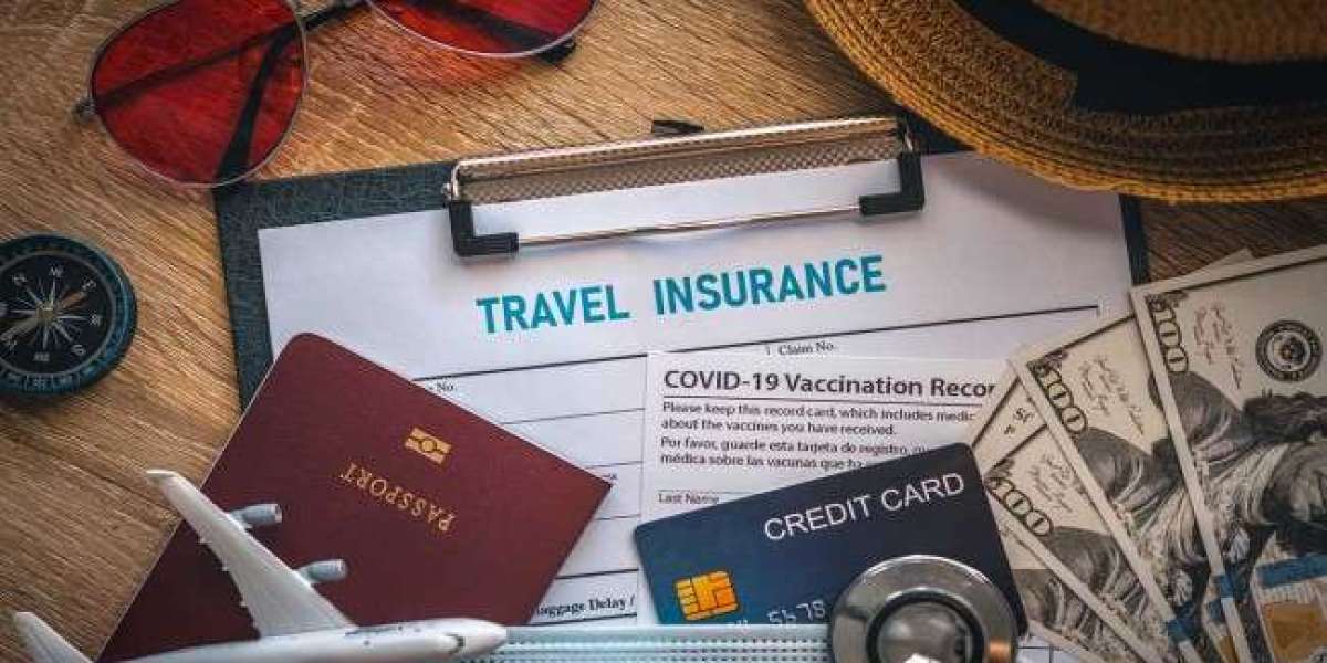 Travel Insurance Market Growth Trends Shaping the Future of the Global Insurance Landscape in 2025