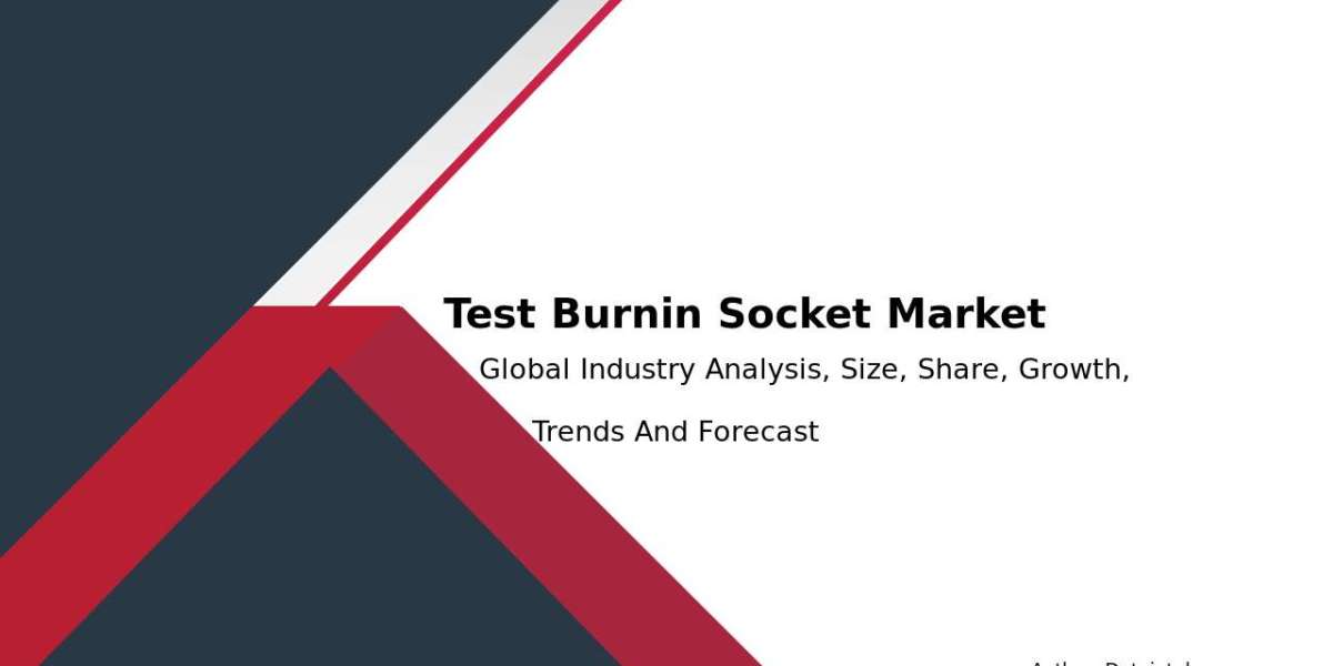 Test & Burn-in Socket Market Growth Rate & Industry Forecast