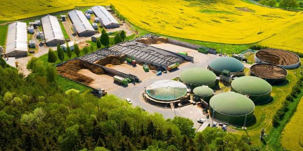 Biogas Market: Advancements in Technology Boost Cost-Effective Production