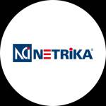 Netrika Counsulting profile picture