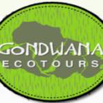 gondwanaecotours gondwanaecotours Profile Picture