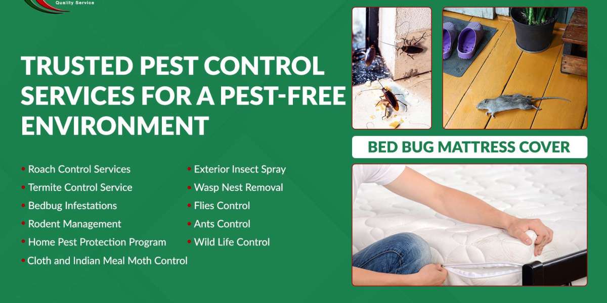 Wasp Nest Removal Brampton: Safe & Effective Solutions