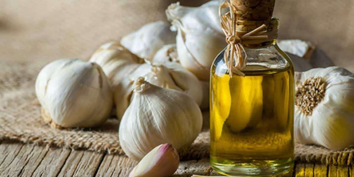 Prefeasibility Report on a Garlic Oil Manufacturing Plant Setup Project by IMARC Group