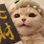zdggb sfdgh Profile Picture