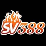 SV388 Realty Profile Picture