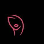 Venus cosmetics Profile Picture