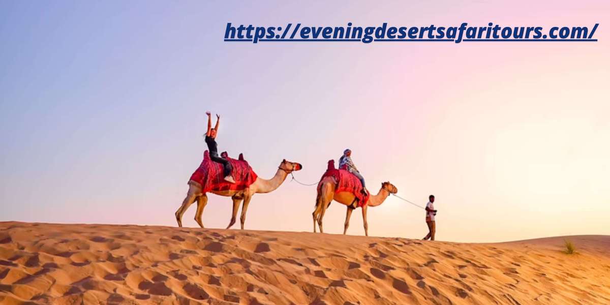 Experience the Magic of Dubai: Evening Safari, Frame Timing & Ferry Rides