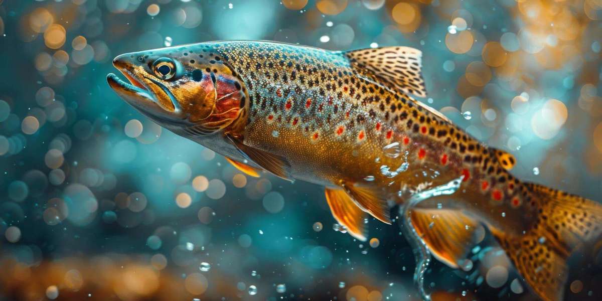 Rainbow Trout Market Expands Globally with Emerging Technologies and Changing Consumer Preferences