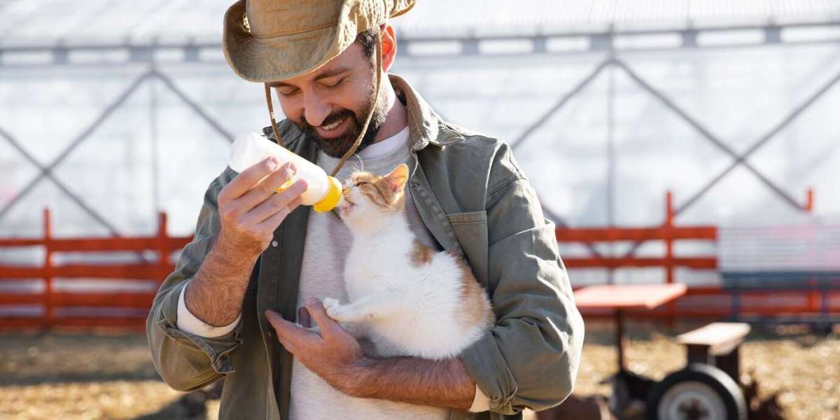Animal Feed Probiotics Market Experiencing Growth Due to Emphasis on Livestock Disease Prevention Measures