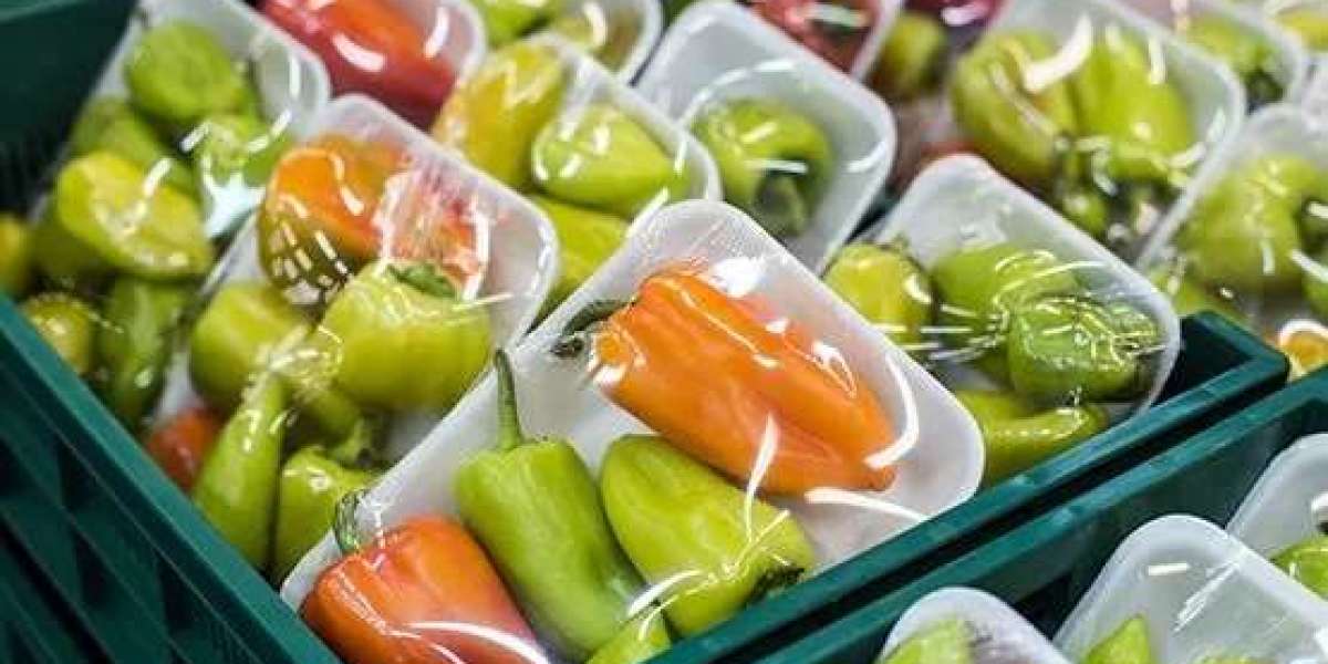 How One Factory Changed the Way Shrink Film Is Made