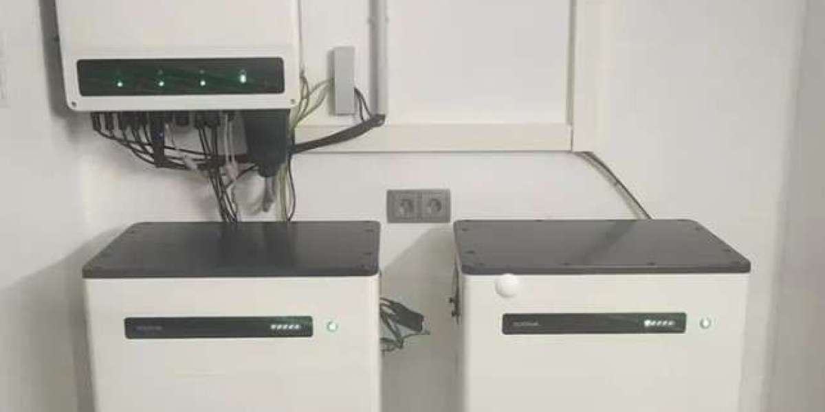 Wie der Goodwe Lynx Home Speicher Ihre Solarersparnisse maximieren kann