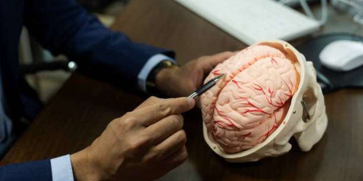 Article Picture