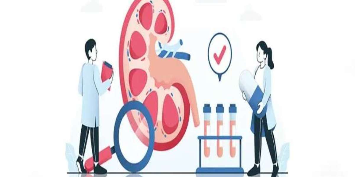 Essential Kidney Tests for Chronic Illness Care