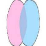 chatdansk11 Profile Picture