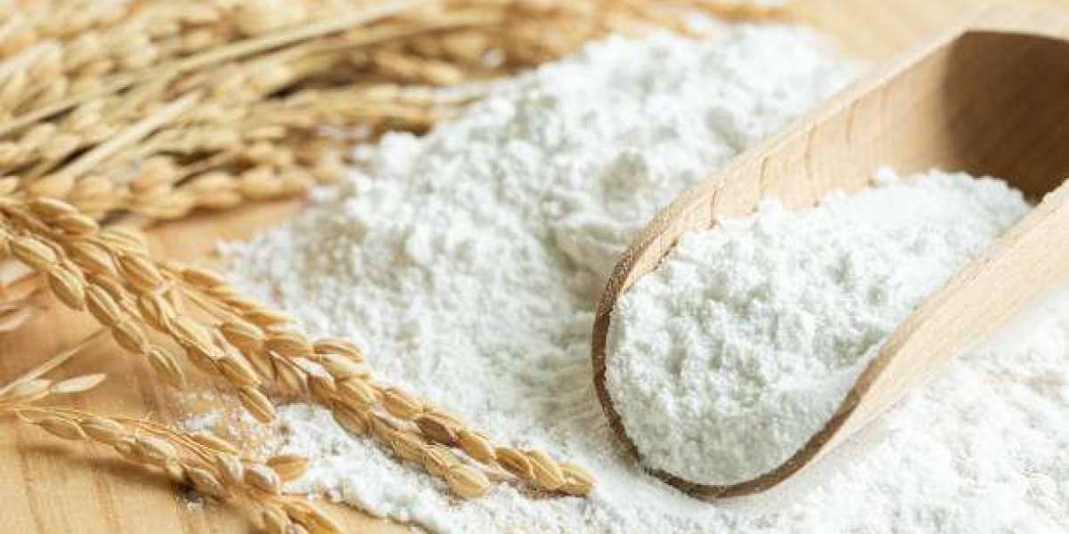 Starch-derived Fiber Market Developments: Innovations and Strategic Progress Shaping the Industry