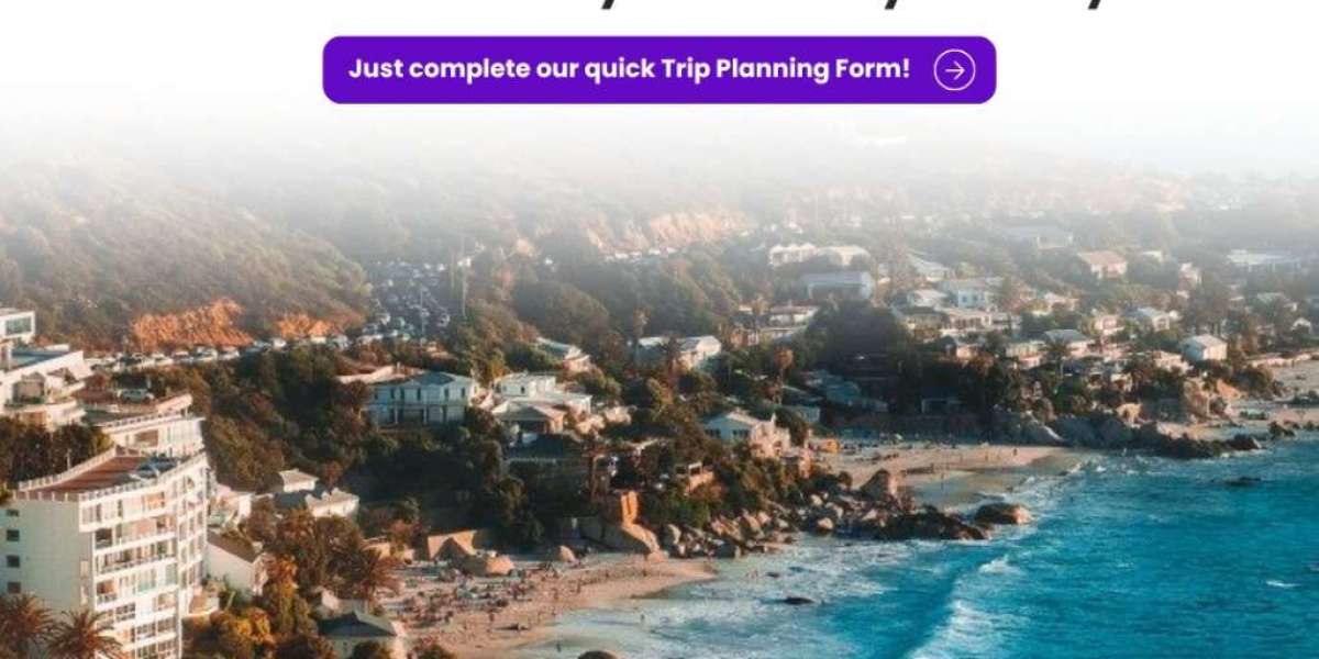 Exploring South Africa: A Comprehensive Guide to Peninsula and Garden Route Tours