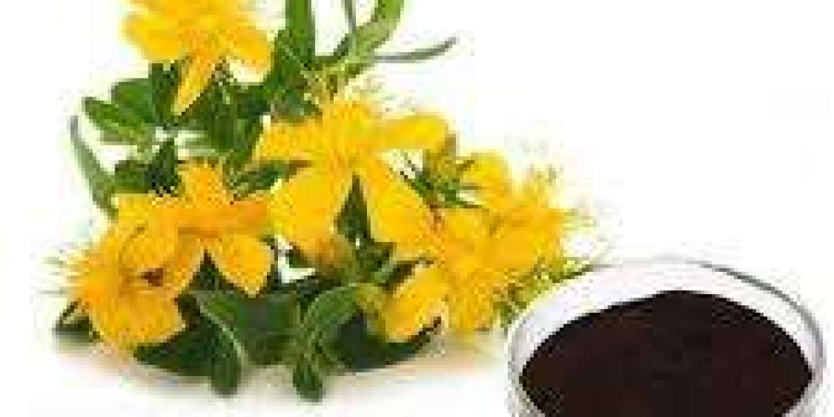 Wort Concentrate Market product segmentation and evolving customer preference patterns