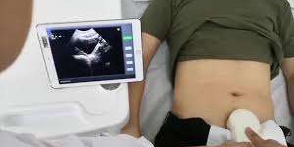 Portable Ultrasound Bladder Scanner Market Dynamics Fueled by Rising Urology Cases and Noninvasive Technology