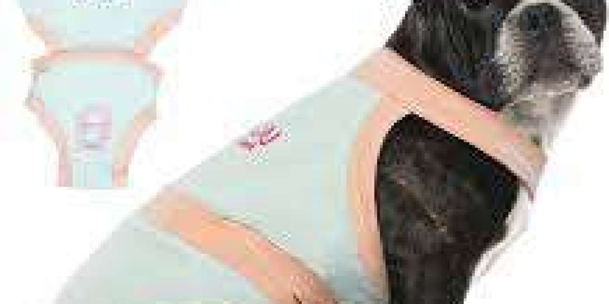 Pet Diaper Market competitive landscape examined through mergers, acquisitions, and partnerships globally