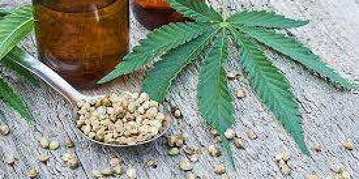 CBD Vapes Market Expands as Regulatory Clarity and Health-Conscious Lifestyles Drive Product Demand
