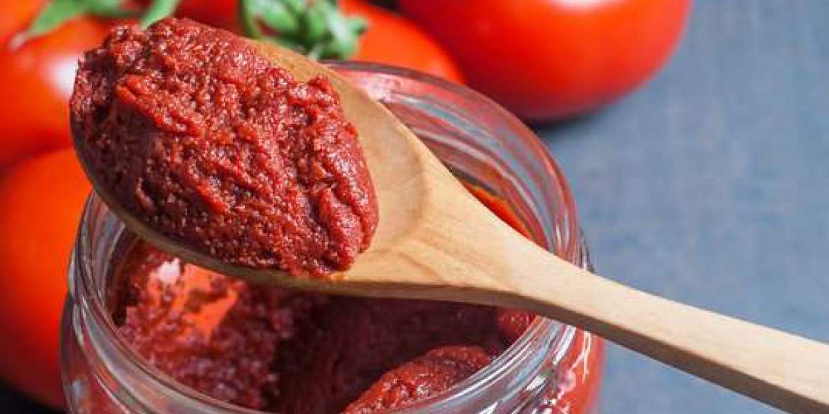Tomato Paste Market Dynamics Driven by Export Demand and Changing Dietary Habits Across Regions