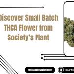 johnstyle Profile Picture