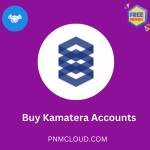 Buy Kamatera Accounts Profile Picture