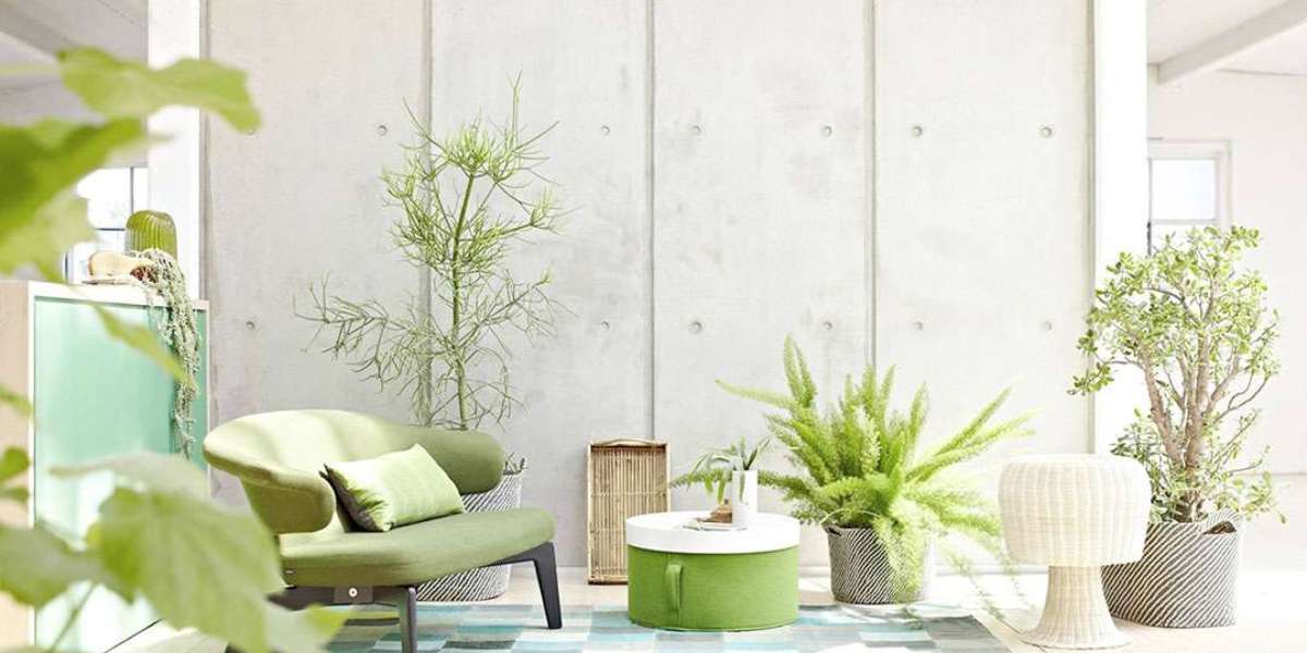 Artificial Plants Market Trends Shaping Home Décor, Hospitality, and Corporate Interiors Across Regions