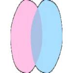 chatnederlands13 Profile Picture