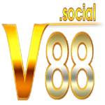 V88 Profile Picture