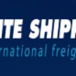 Elite Shipping Profile Picture