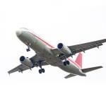 novajonas profile picture