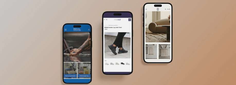 Stride Norden AB Cover Image